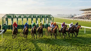 Lincoln Handicap start at Doncaster Town Moor with horses breaking from stalls