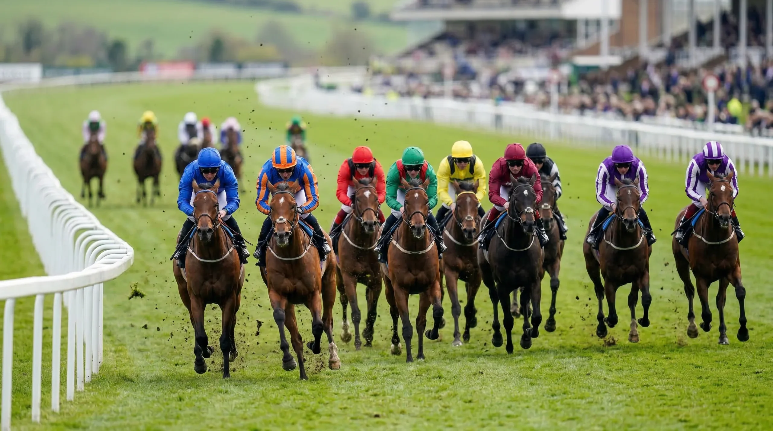Horses racing in a pack during Lincoln Handicap on straight mile